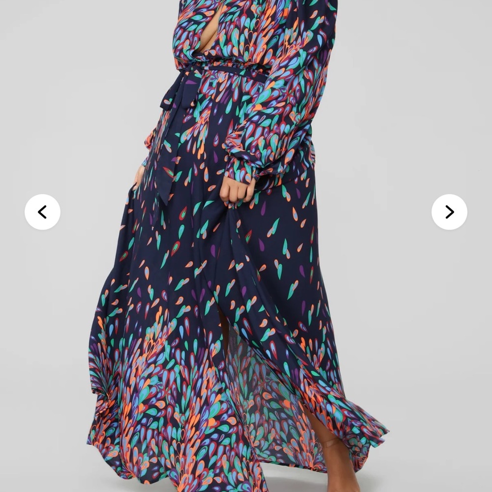 Nwot Wings Of A Feather Maxi Dress View 2